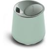 Mint Chip