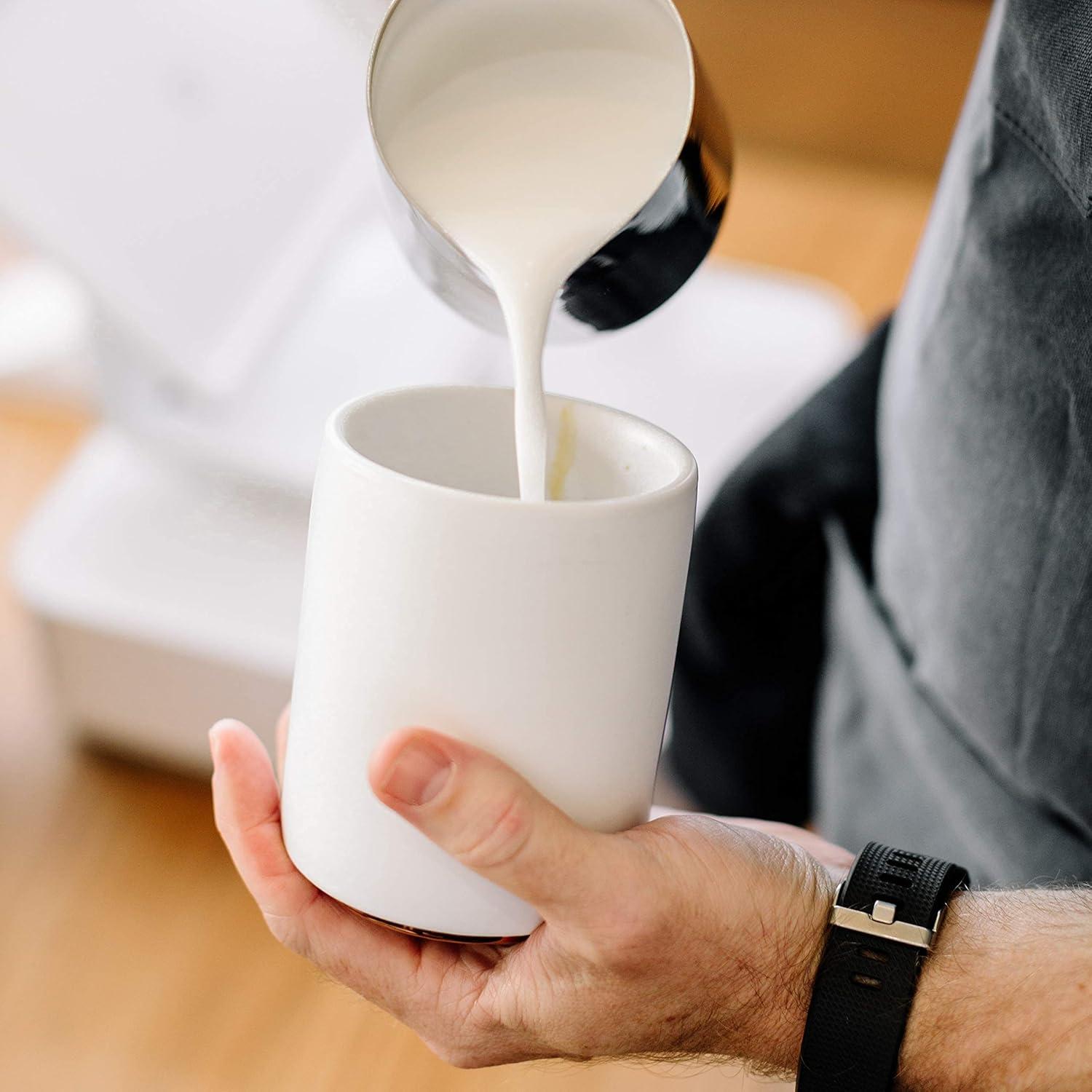 imageFellow Monty Latte Art Mugs Double Wall Ceramic Latte Mug Matte Black with Graphite Base 11 OzMatte White