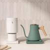 Fellow Stagg EKG Pro, Electric Kettle with Gooseneck Spout – Pour-over for Coffee and Tea – EU Matte Black(Smoky Green With Maple Handle)