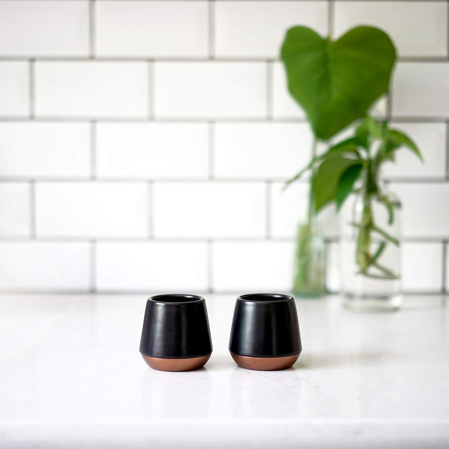imageFellow 1117 Double Wall Ceramic Mugs 8 OuncesBlack