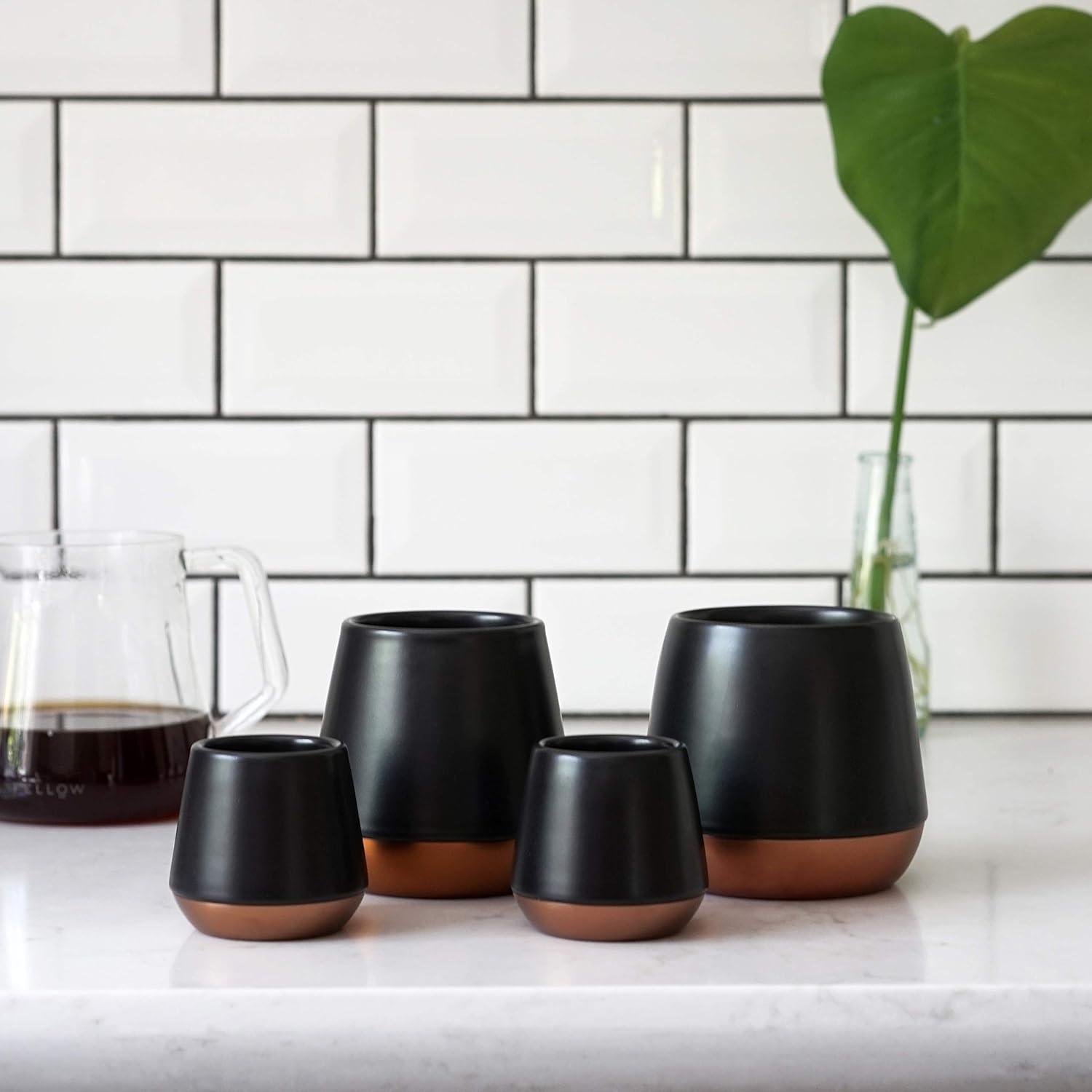 imageFellow 1117 Double Wall Ceramic Mugs 8 OuncesBlack